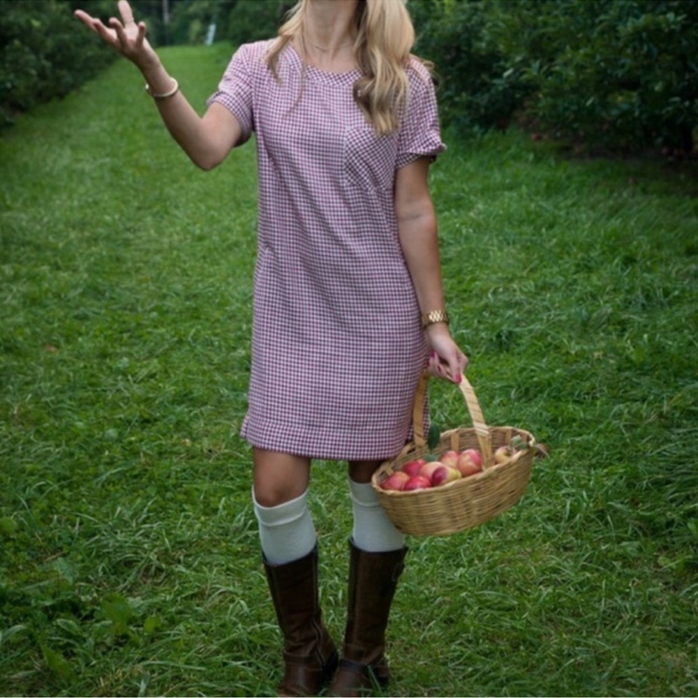 Madewell gingham plain dress